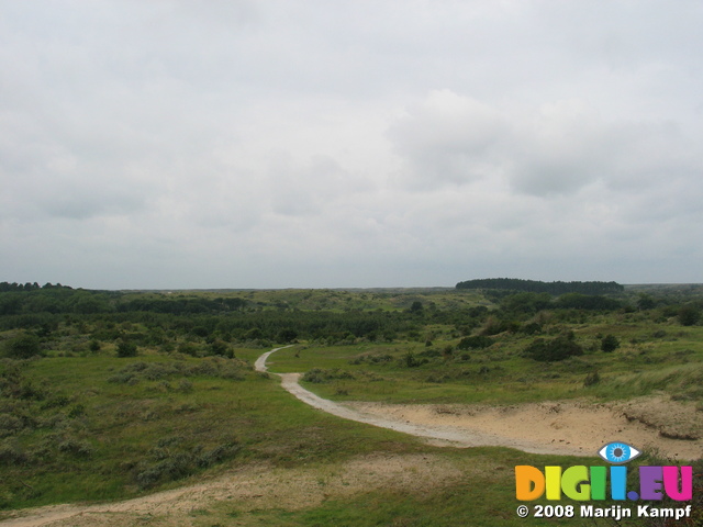 28139 View from Kennemerduinen